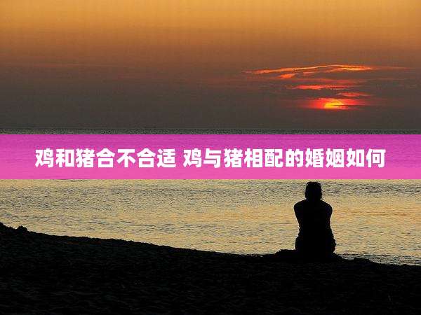 鸡和猪合不合适 鸡与猪相配的婚姻如何