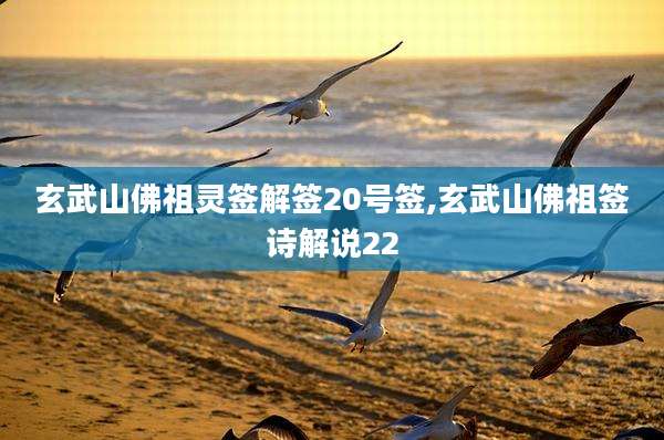 玄武山佛祖灵签解签20号签,玄武山佛祖签诗解说22
