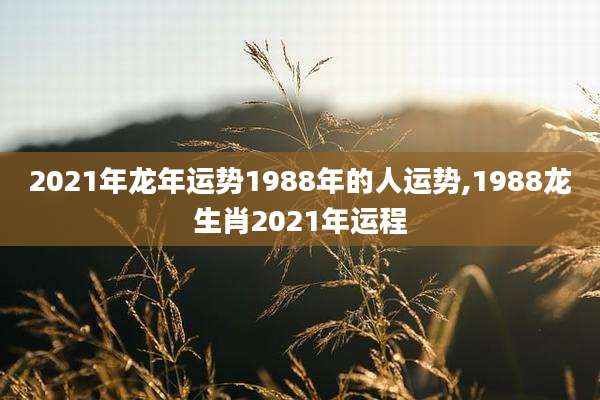 2021年龙年运势1988年的人运势,1988龙生肖2021年运程