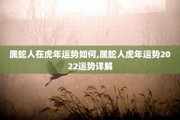 属蛇人在虎年运势如何,属蛇人虎年运势2022运势详解