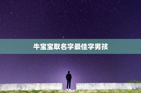 牛宝宝取名字最佳字男孩