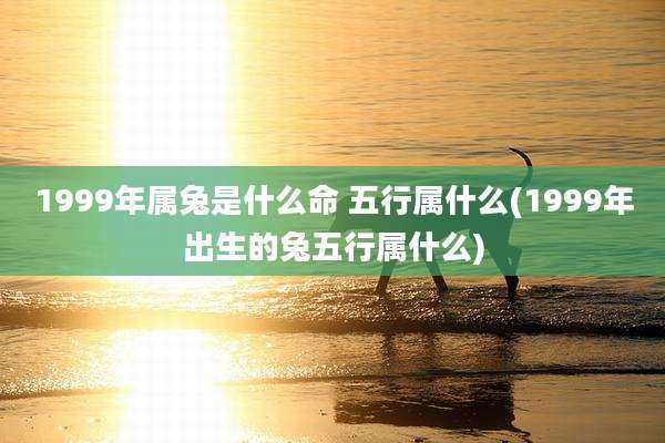 1999年属兔是什么命 五行属什么(1999年出生的兔五行属什么)