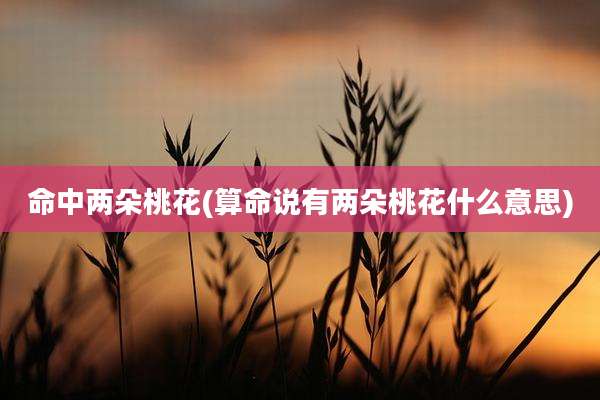 命中两朵桃花(算命说有两朵桃花什么意思)