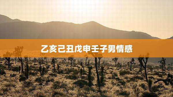 乙亥己丑戊申壬子男情感