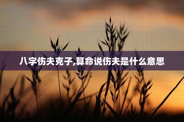 八字伤夫克子,算命说伤夫是什么意思