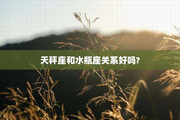 天秤座和水瓶座关系好吗?