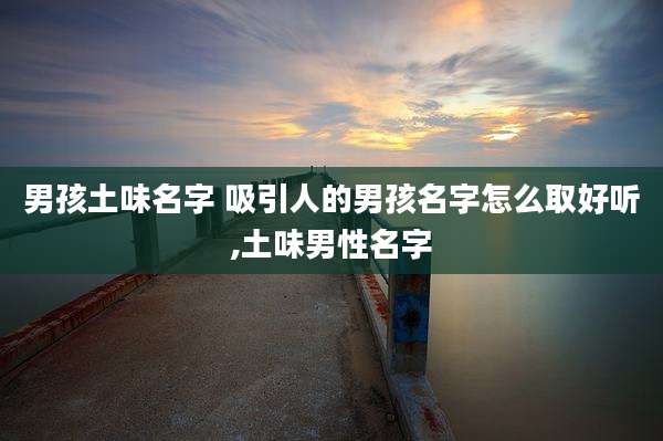 男孩土味名字 吸引人的男孩名字怎么取好听,土味男性名字