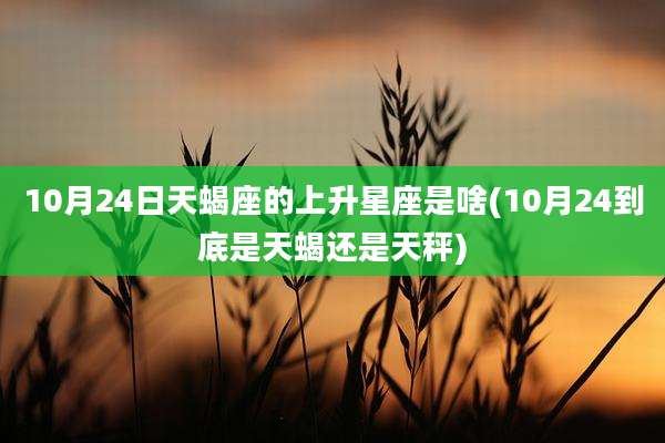10月24日天蝎座的上升星座是啥(10月24到底是天蝎还是天秤)