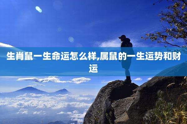 生肖鼠一生命运怎么样,属鼠的一生运势和财运