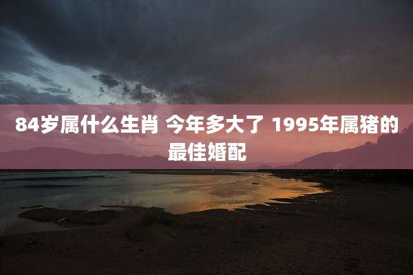 84岁属什么生肖 今年多大了 1995年属猪的最佳婚配