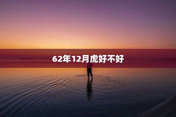 62年12月虎好不好
