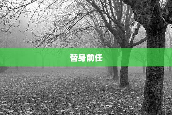 替身前任