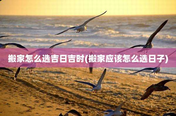 搬家怎么选吉日吉时(搬家应该怎么选日子)