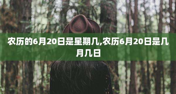 农历的6月20日是星期几,农历6月20日是几月几日