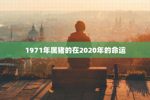 1971年属猪的在2020年的命运