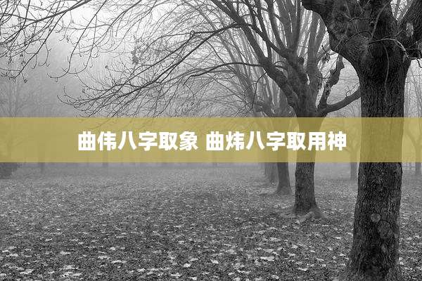 曲伟八字取象 曲炜八字取用神