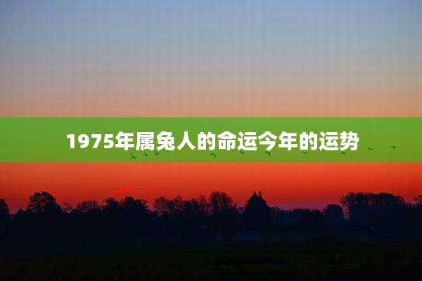 1975年属兔人的命运今年的运势