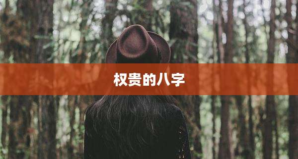 权贵的八字
