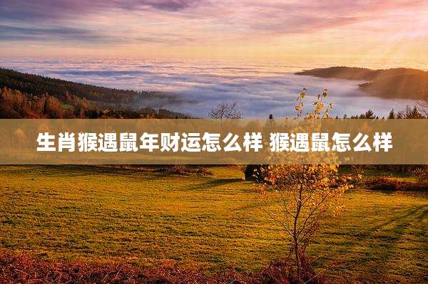 生肖猴遇鼠年财运怎么样 猴遇鼠怎么样
