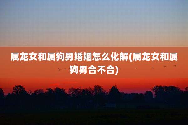 属龙女和属狗男婚姻怎么化解(属龙女和属狗男合不合)