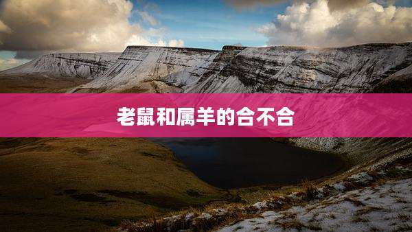 老鼠和属羊的合不合