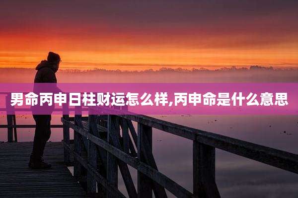 男命丙申日柱财运怎么样,丙申命是什么意思