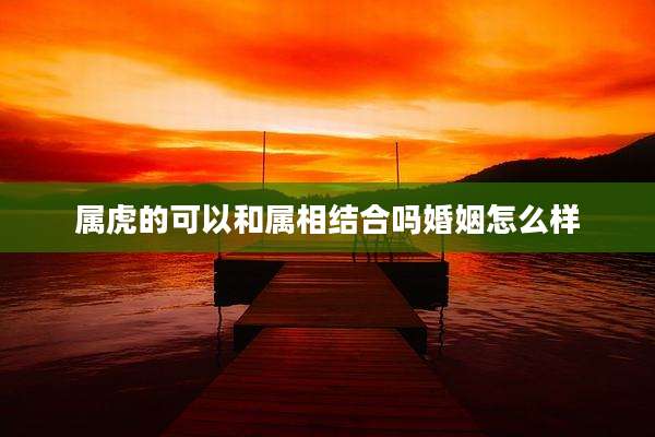 属虎的可以和属相结合吗婚姻怎么样