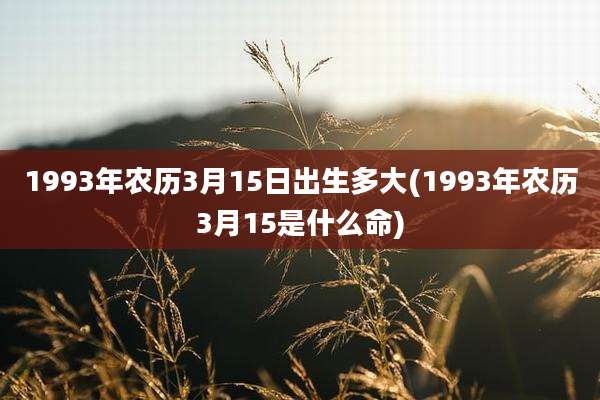 1993年农历3月15日出生多大(1993年农历3月15是什么命)