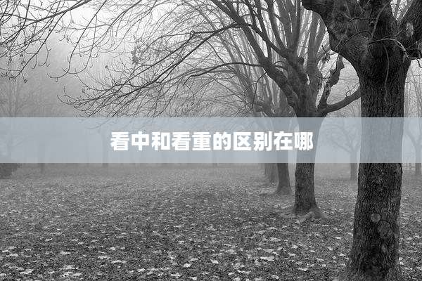 看中和看重的区别在哪
