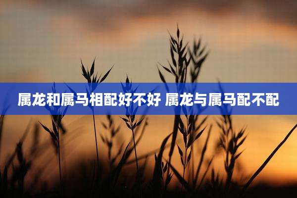 属龙和属马相配好不好 属龙与属马配不配