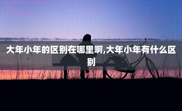 大年小年的区别在哪里啊,大年小年有什么区别