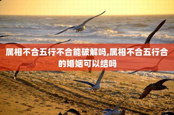 属相不合五行不合能破解吗,属相不合五行合的婚姻可以结吗