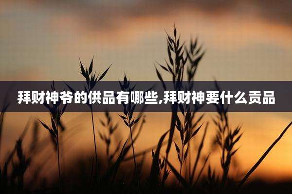 拜财神爷的供品有哪些,拜财神要什么贡品