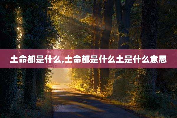 土命都是什么,土命都是什么土是什么意思