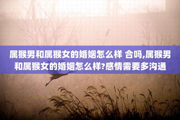 属猴男和属猴女的婚姻怎么样 合吗,属猴男和属猴女的婚姻怎么样?感情需要多沟通