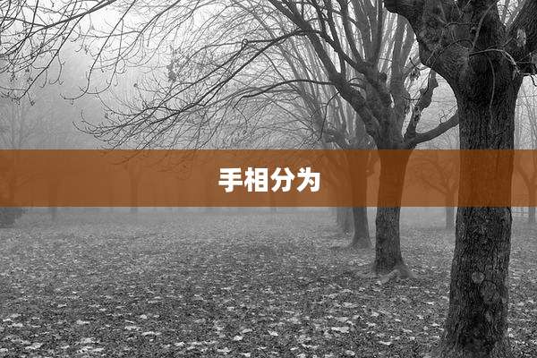 手相分为