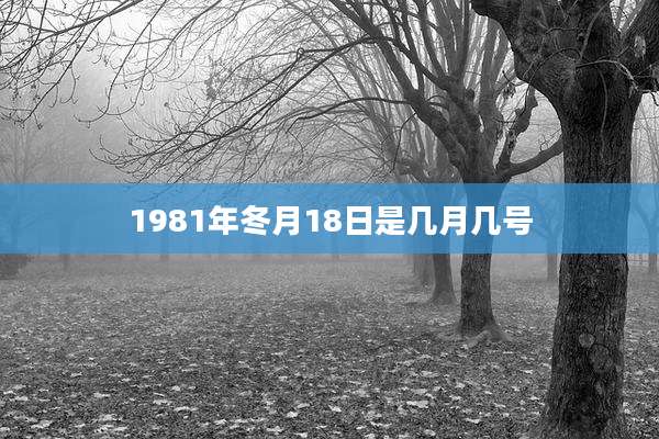 1981年冬月18日是几月几号