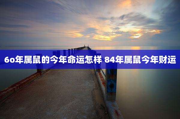 6o年属鼠的今年命运怎样 84年属鼠今年财运