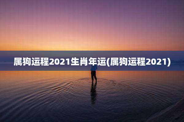 属狗运程2021生肖年运(属狗运程2021)