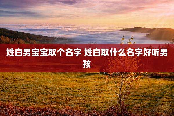 姓白男宝宝取个名字 姓白取什么名字好听男孩