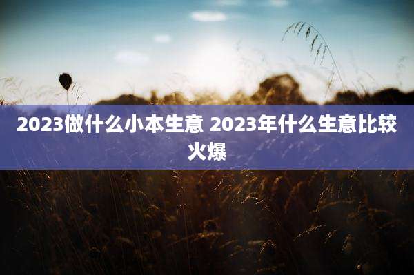 2023做什么小本生意 2023年什么生意比较火爆