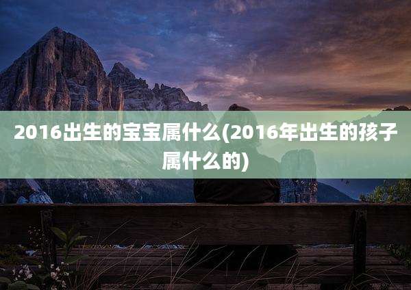 2016出生的宝宝属什么(2016年出生的孩子属什么的)