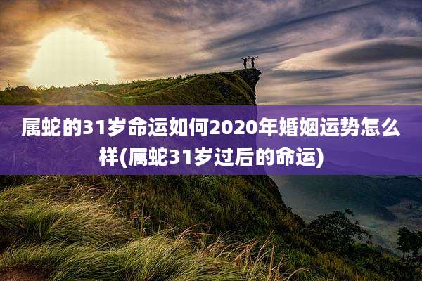 属蛇的31岁命运如何2020年婚姻运势怎么样(属蛇31岁过后的命运)