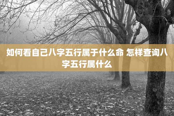 如何看自己八字五行属于什么命 怎样查询八字五行属什么