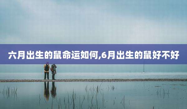 六月出生的鼠命运如何,6月出生的鼠好不好