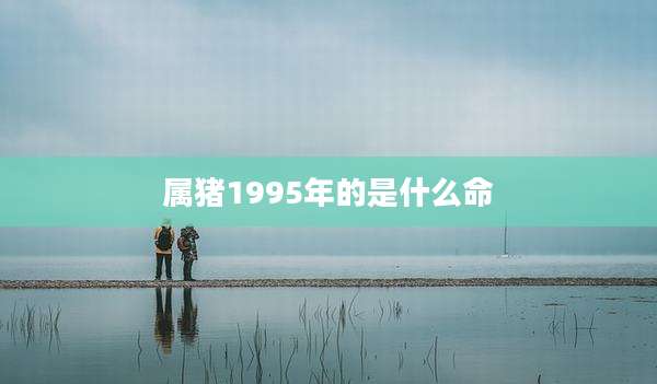 属猪1995年的是什么命