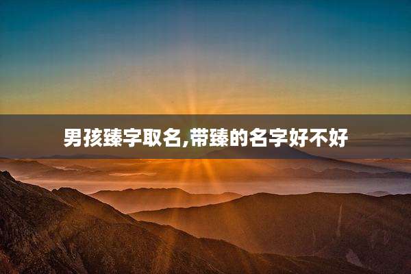 男孩臻字取名,带臻的名字好不好