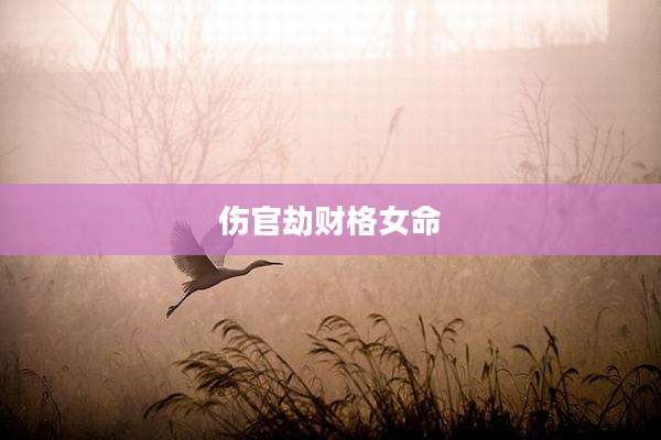 伤官劫财格女命