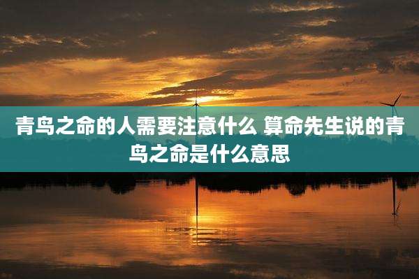 青鸟之命的人需要注意什么 算命先生说的青鸟之命是什么意思