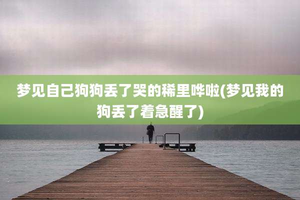 梦见自己狗狗丢了哭的稀里哗啦(梦见我的狗丢了着急醒了)